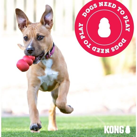 KONG Floppy Knots Fox Dog Squeaky Toy Small Medium Breed NEW - Picture 8 of 8